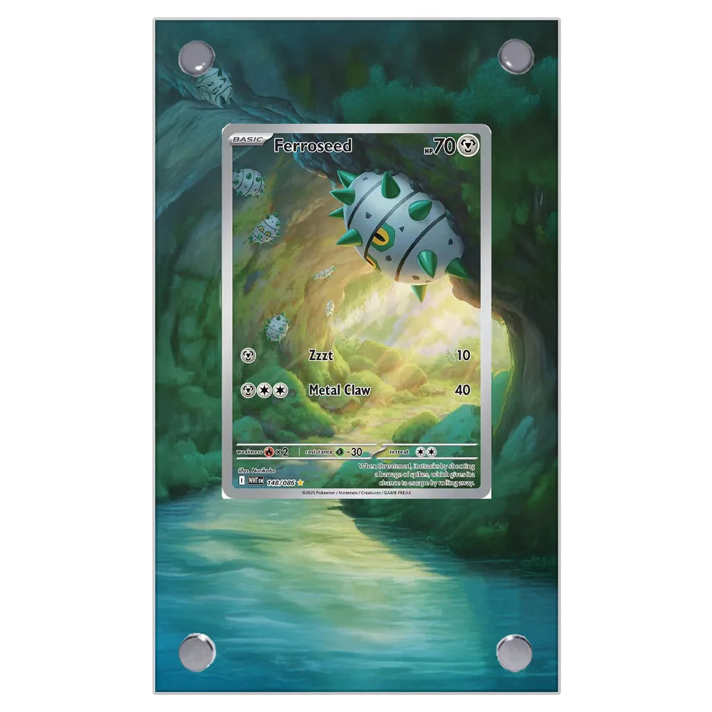Pokemon Card Extended Art Display