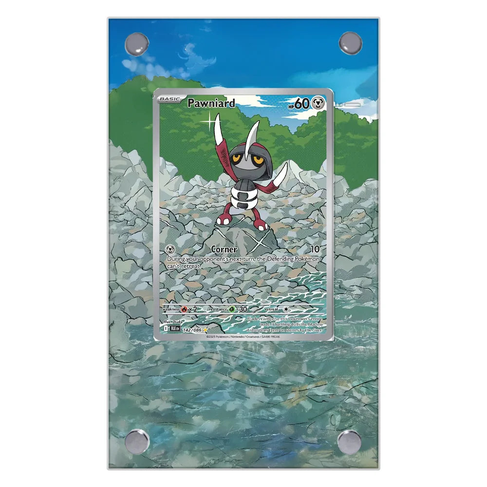 Pokemon Card Extended Art Display