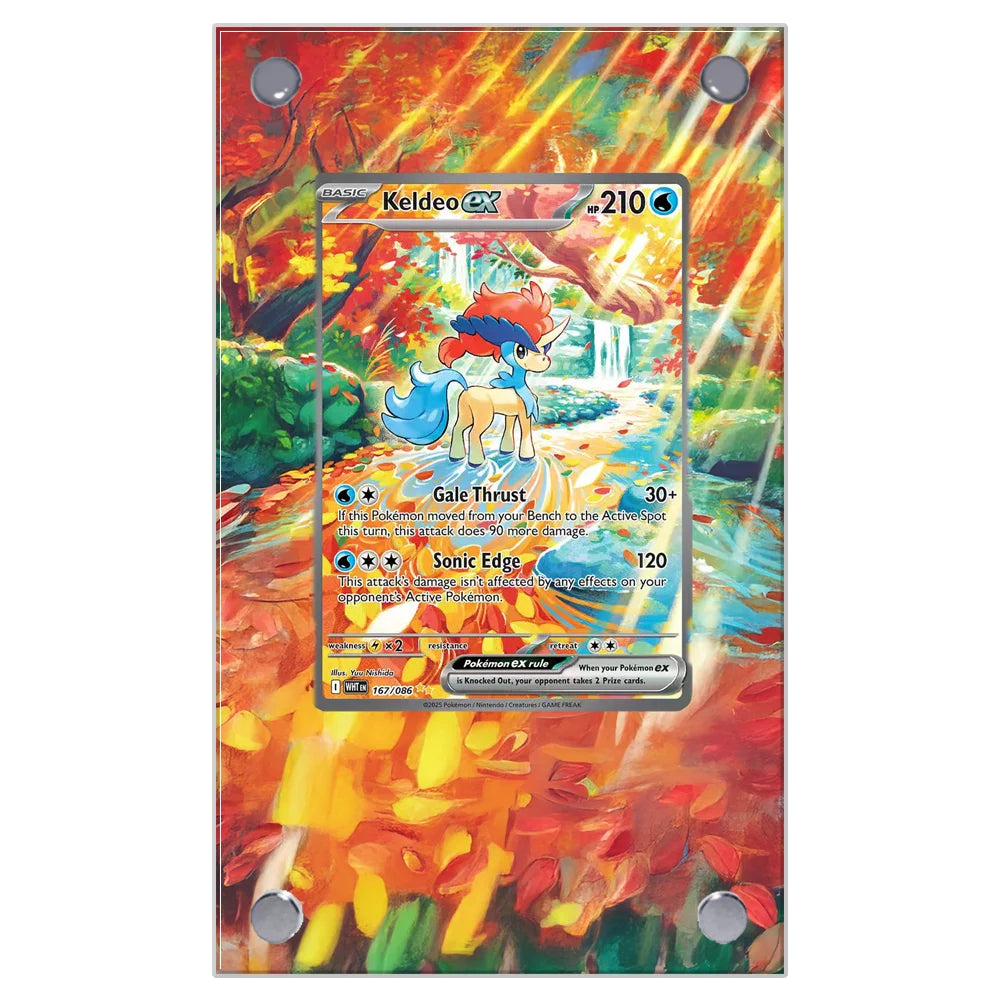 Pokemon Card Extended Art Display