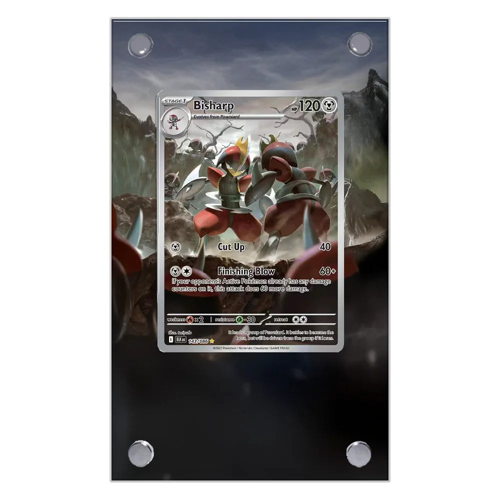 Pokemon Card Extended Art Display