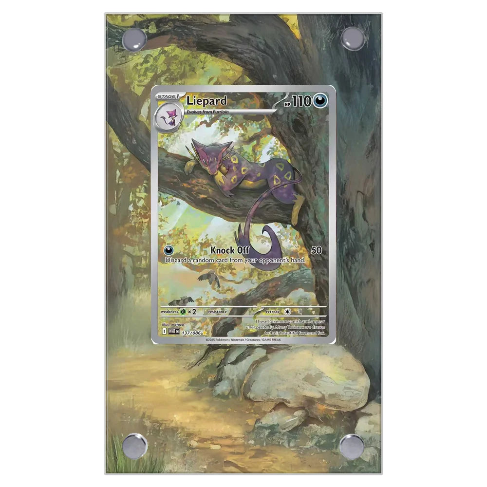 Pokemon Card Extended Art Display