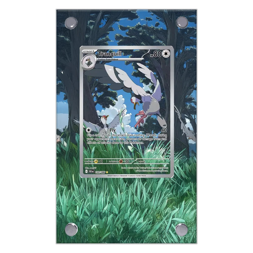 Pokemon Card Extended Art Display