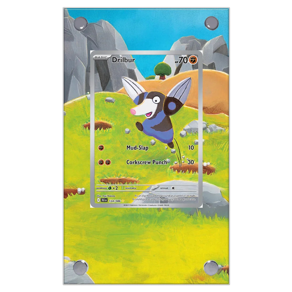 Pokemon Card Extended Art Display